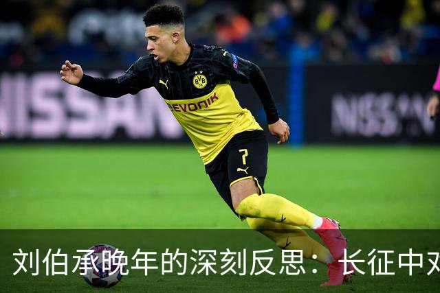 刘伯承晚年的深刻反思：长征中对毛主席的提问与启示